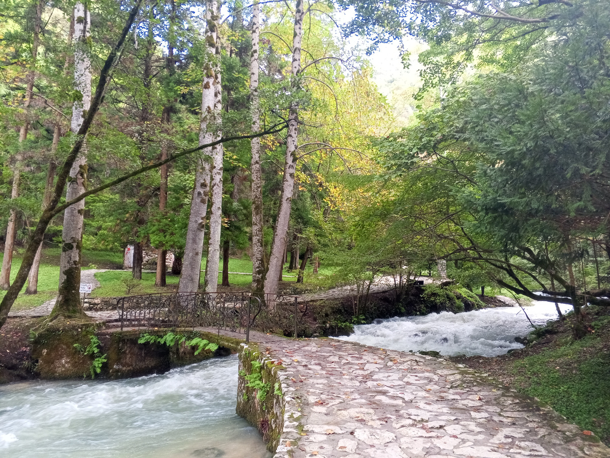 Новоафонский национальный парк. Абхазия-2025