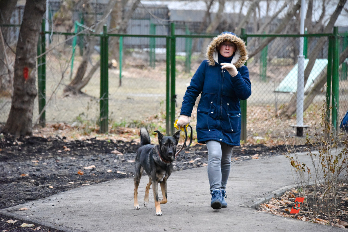 Причиной для разработки столь детального документа, как указано в пояснительной записке, стала объективная городская реальность.  Фото: Фото: ФедералПресс / Полина Зиновьева