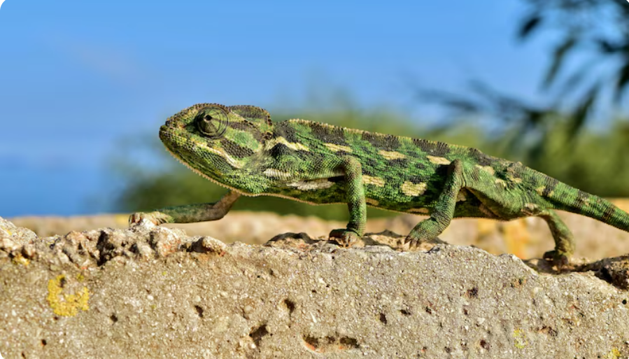    Фото: фрипик