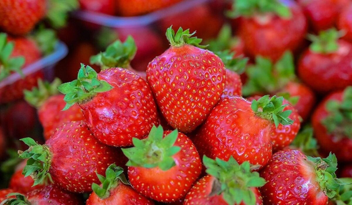     Клубника. Источник: mos ru Автор фото: Пресс-служба Мэра и Правительства Москвы