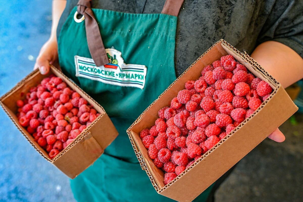    Ремонтантная малина и клубника появились на московских ярмарках