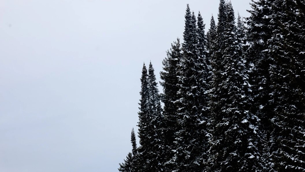    Фото: Elena Mayorova /Globallookpress