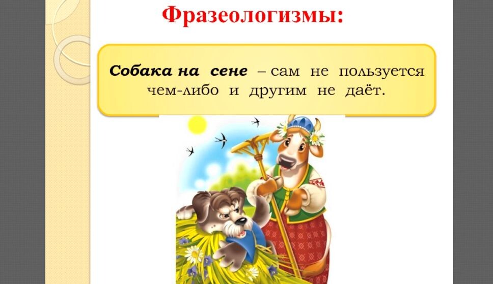 После развода Яна стала себя вести как собака на сене