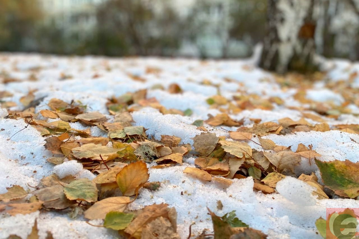    Фото: Прецедент