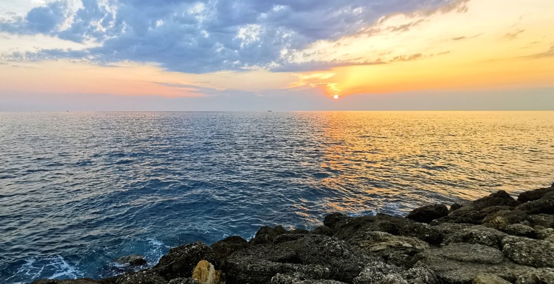    Фото: НИА "Экология"