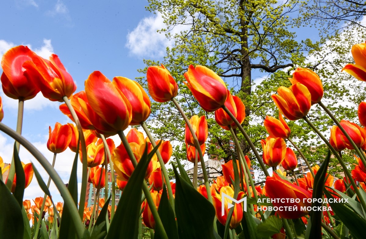 Фотограф: Ярослав Чингаев