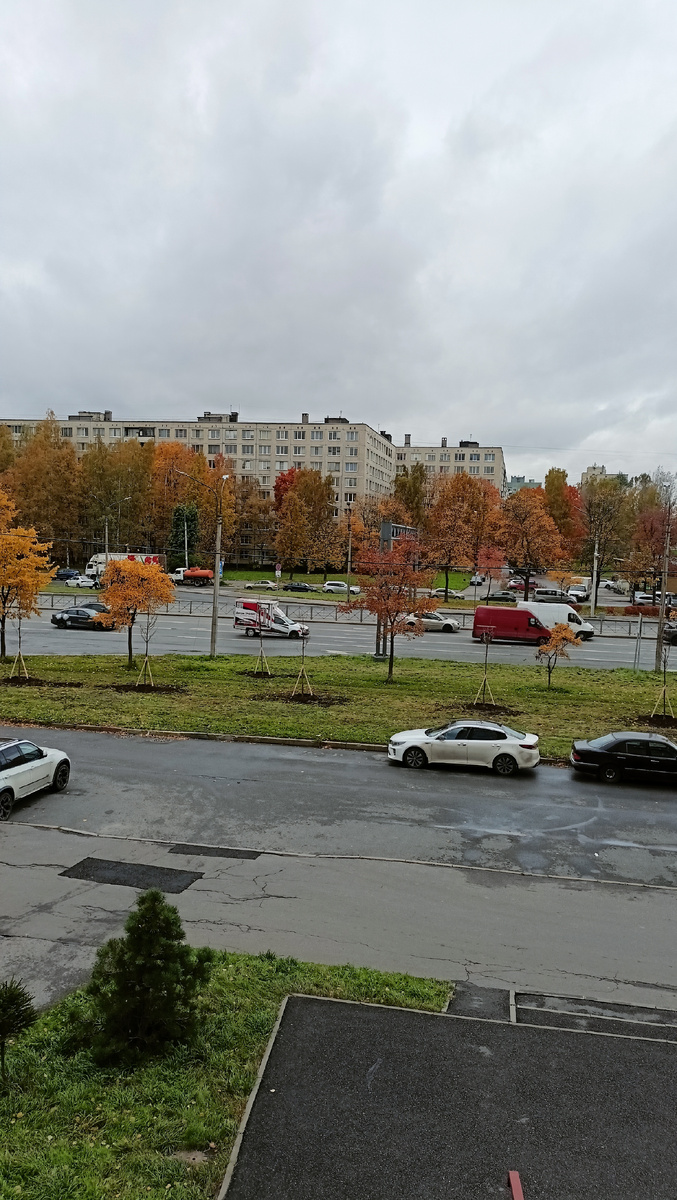 Фото автора. 13, 50. СПб.