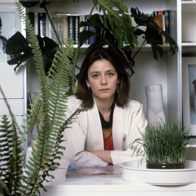 Это фото и все фото ниже взяты из открытых источников 👇