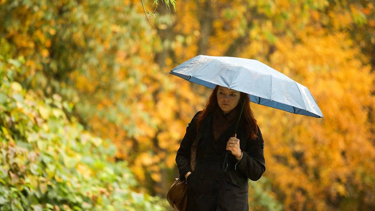    Фото: Артур Новосильцев / АГН Москва
