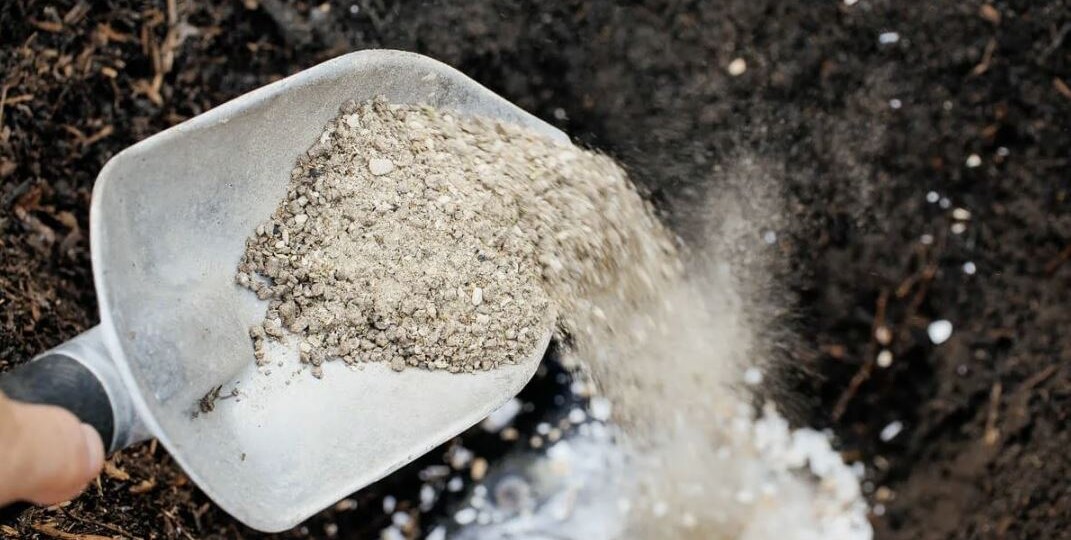 🍂 Зола как осеннее удобрение: под какие культуры и в каких количествах вносить