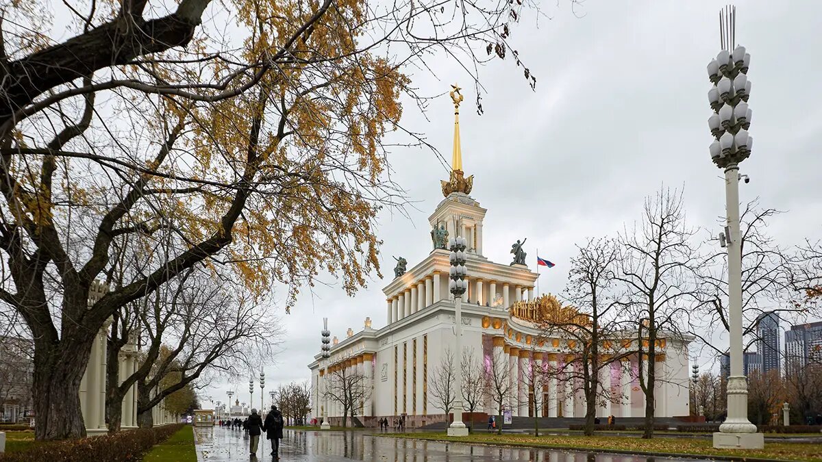    Фото: vm.ru Оливия Ильинская