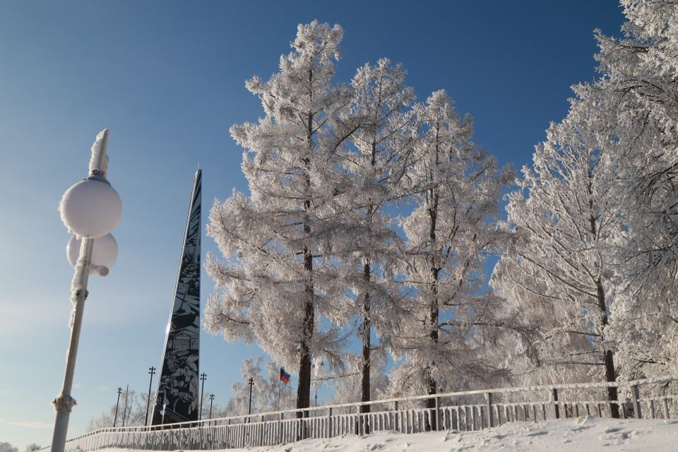   Барнаул. Зима. Иней. Источник: Олег Укладов