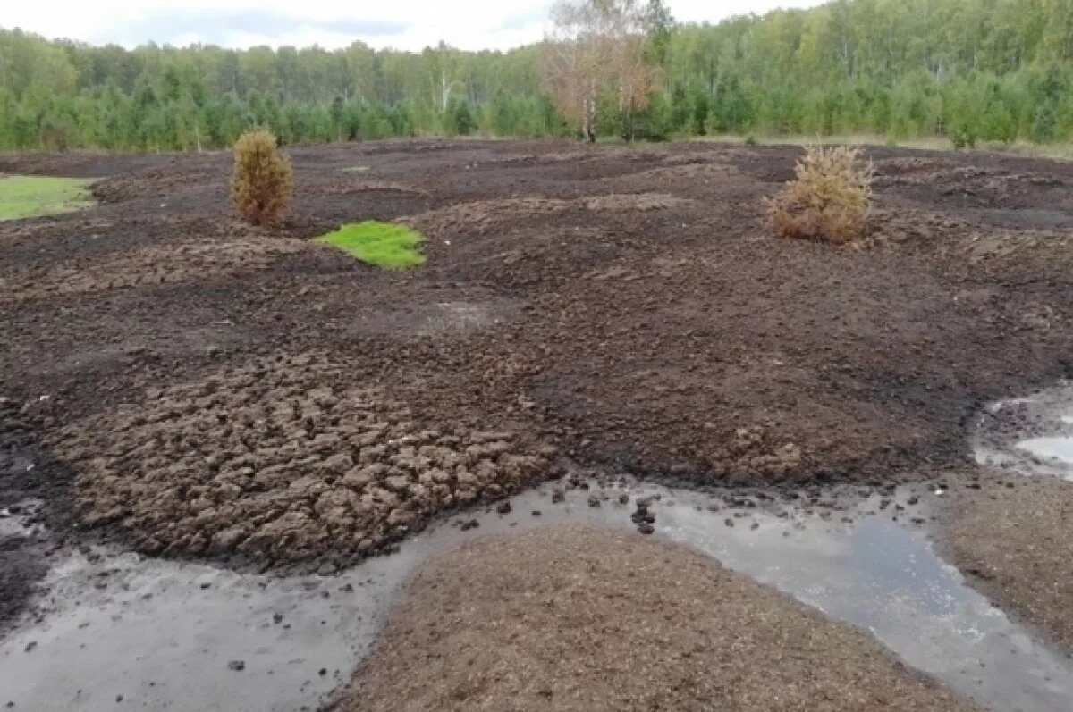    В Башкирии 60 га земель оказались загрязнены птичьим пометом