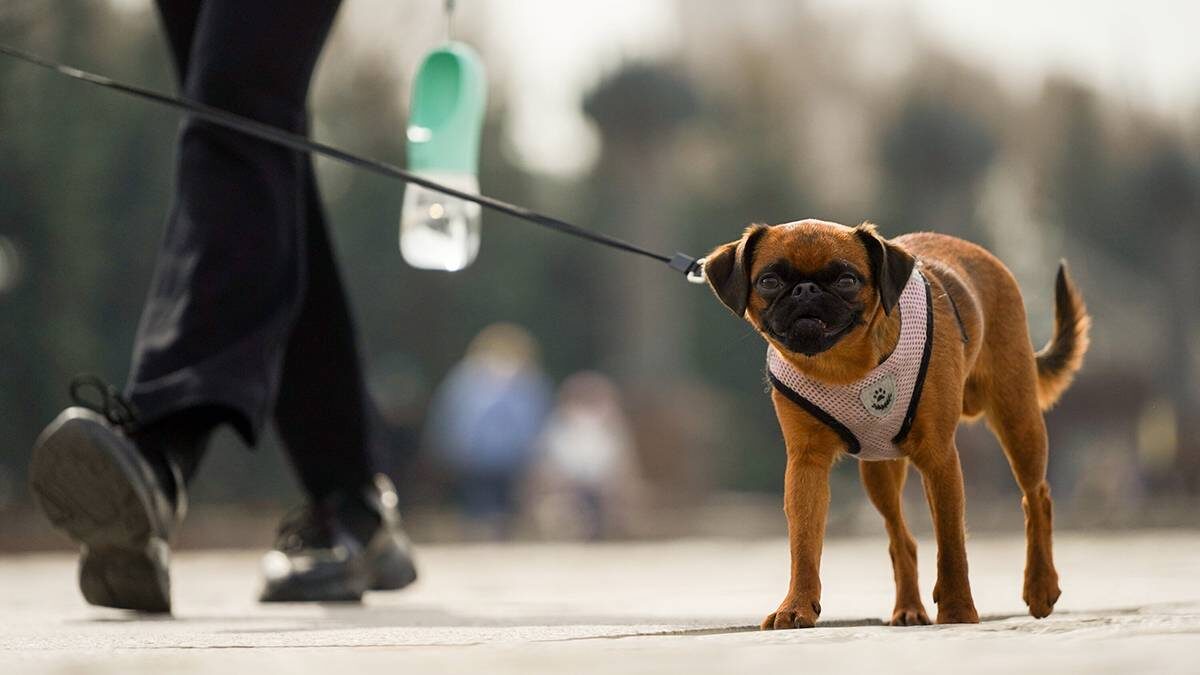    Фото: Александр Авилов / АГН Москва