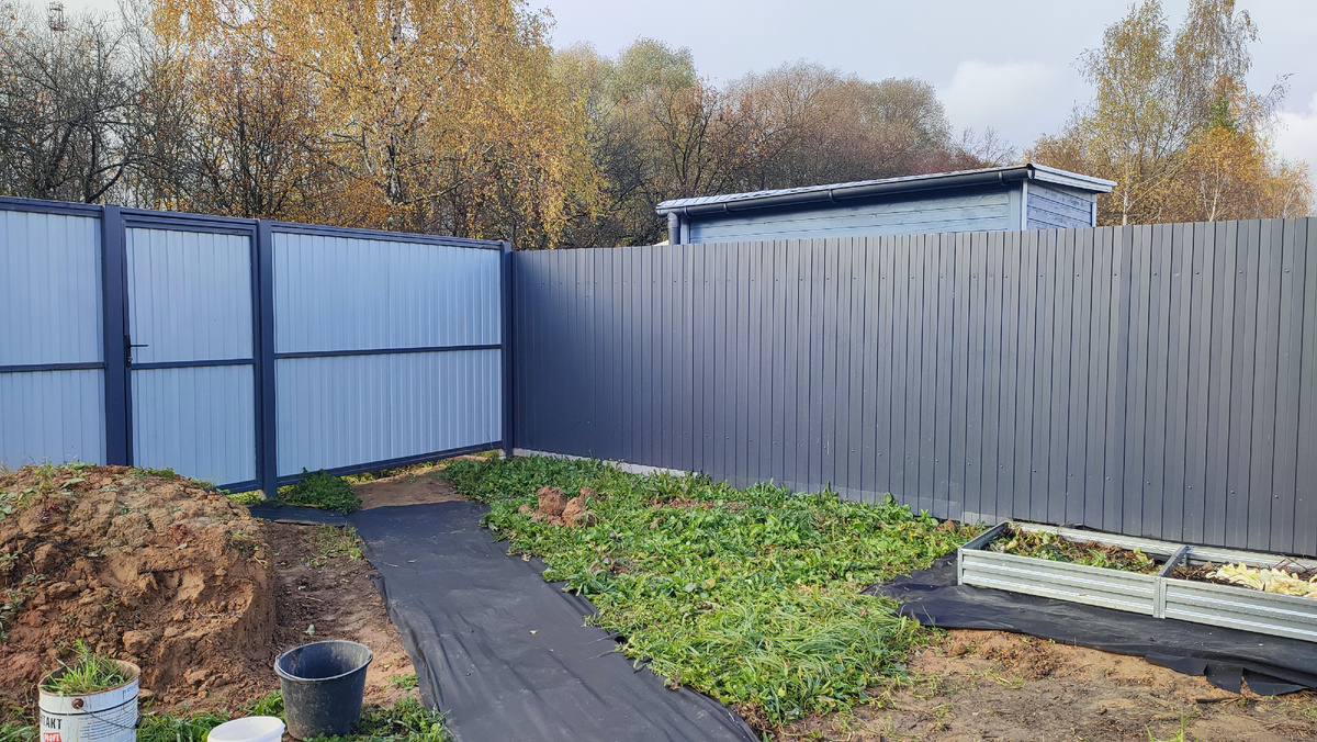 Вот этот угол. Туда даже два растения войдут 😃 ( между забором  и грядкой)