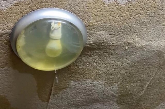    Вода даже в лампочке. Фото: АиФ/ Татьяна Лисицына