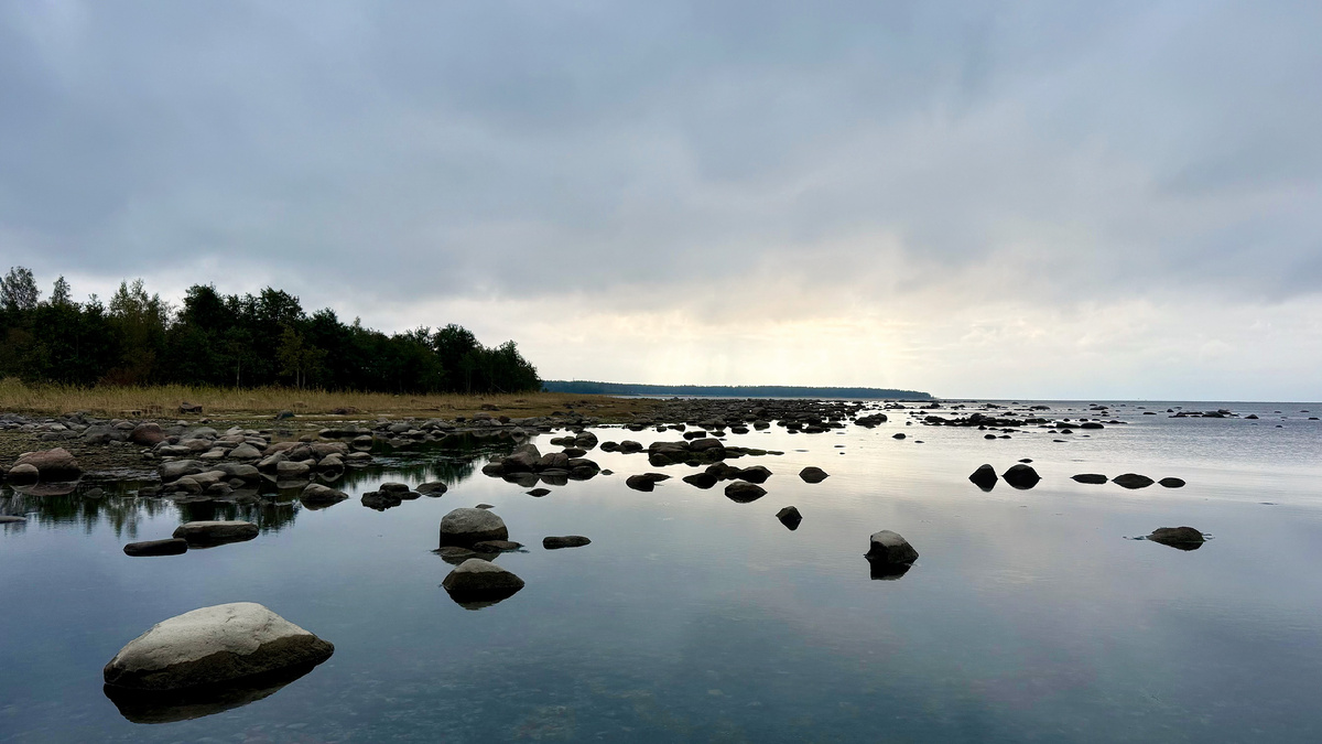 Красота северной природы в заливе Шепелевского маяка