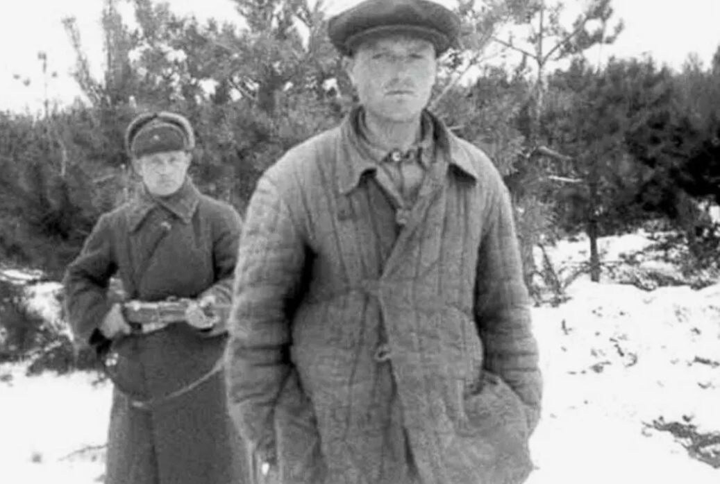 Задержанный дезертир. Фото из интернета. 