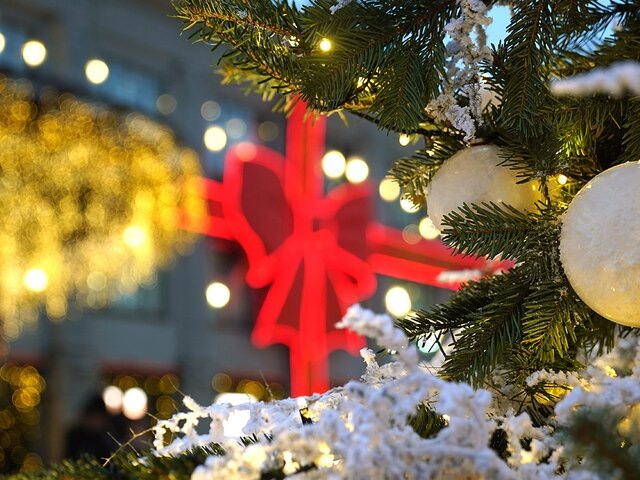    Фото: портал мэра и правительства Москвы/Евгений Самарин