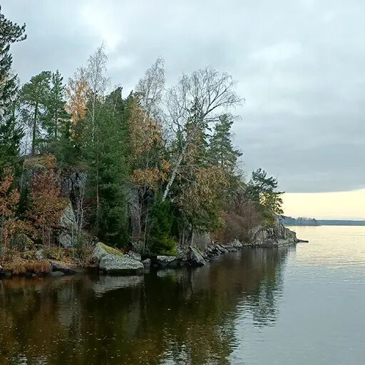   Фитоценоз северных регионов Наталья Андросенкова