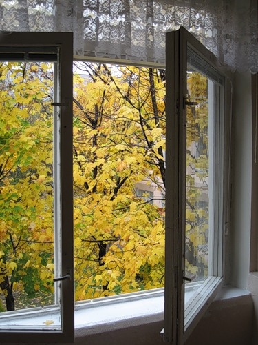 Если живете рядом с крупной дорогой - поможет очиститель воздуха