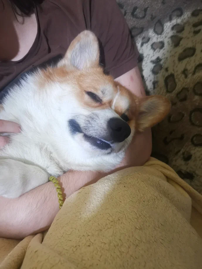 «Пью чай с мёдом. Для профилактики, конечно. Не потому что вкусно. Ну, может, чуть-чуть потому что вкусно.»