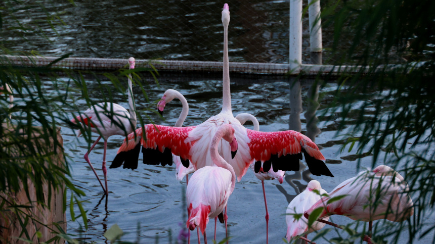    Фото: ИЗВЕСТИЯ/Мария Семенова