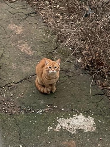 Вот это утреннее чудо.