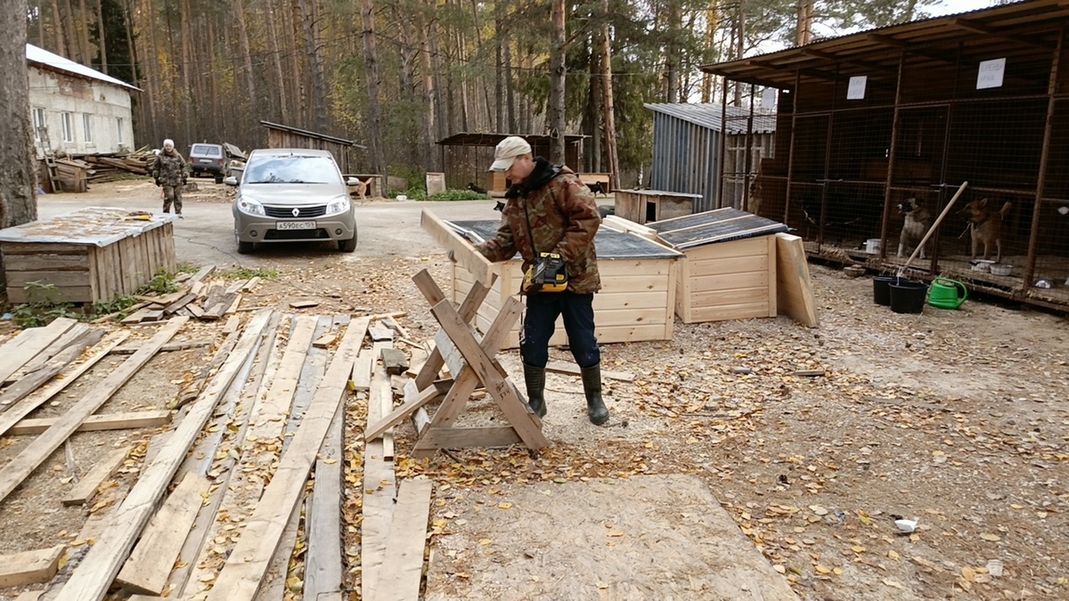 Каждую свободную минуту Володя летит в приют .