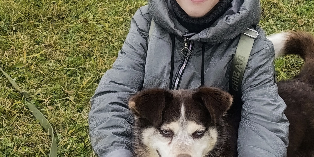 Новые будки для наших хвостиков и ветеринарный тонометр для оперблока