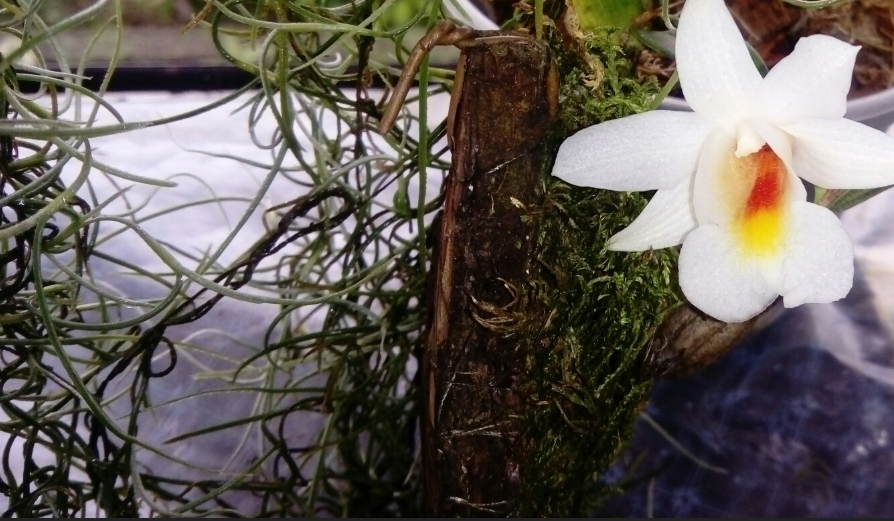 2020 год, начало пути