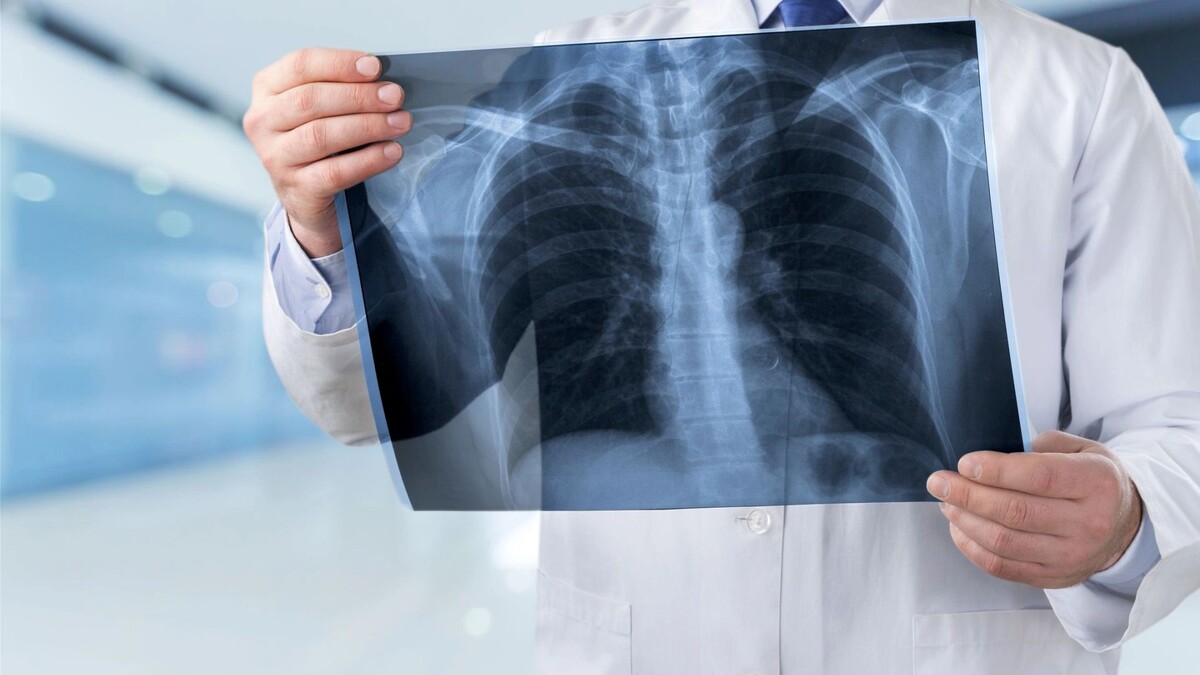    Фото: Billion Photos/Shutterstock/Fotodom