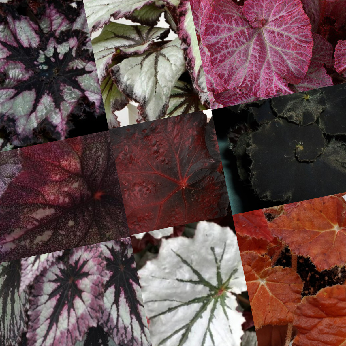 Капля в море. Верхушка айсберга. 