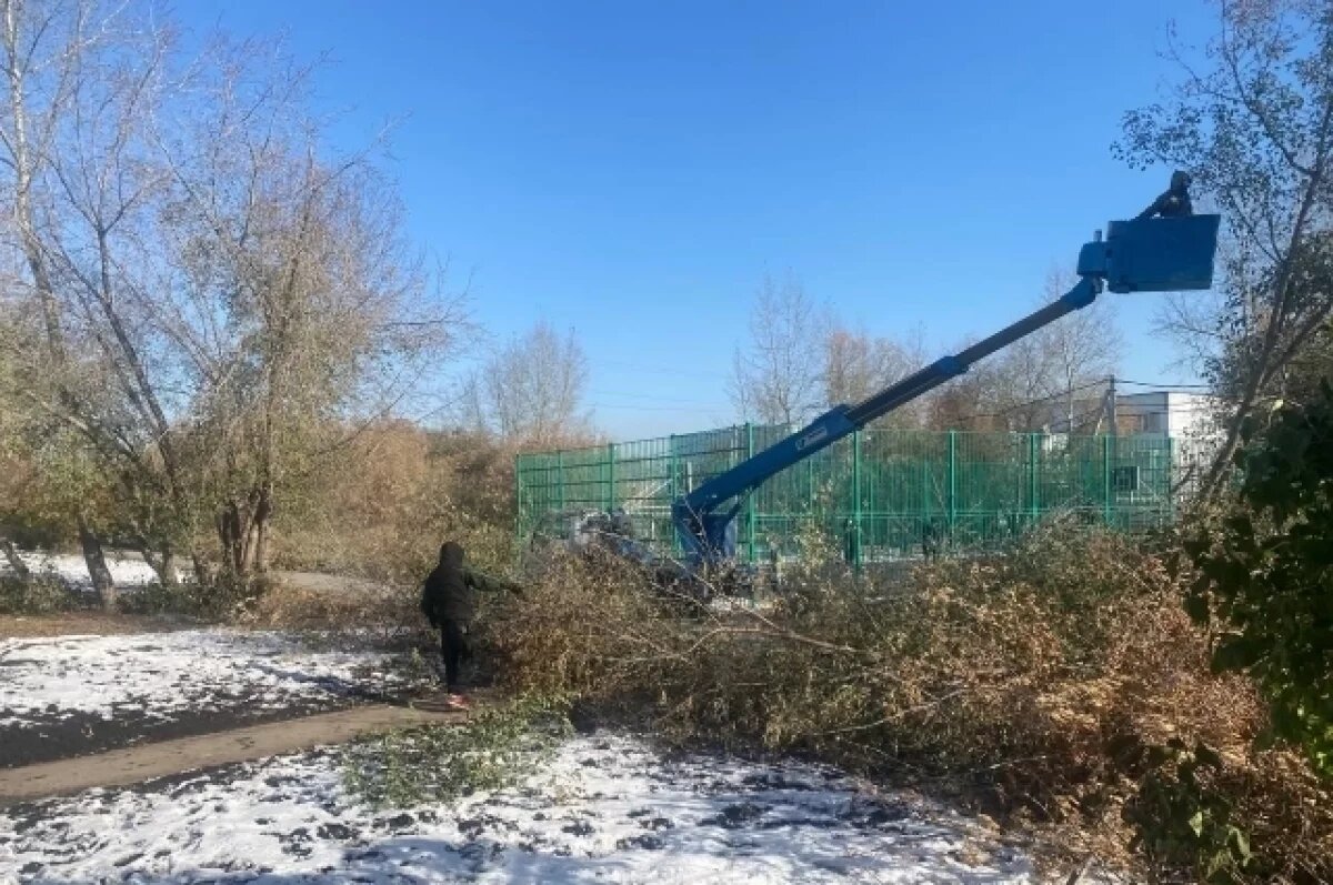    Школьный маршрут на улице Палласа в Новосибирске стал безопаснее