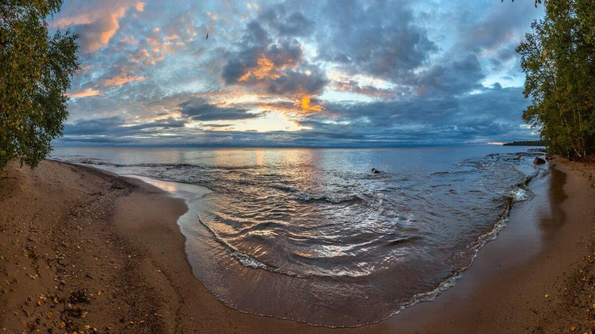    Фото: t.me/lenobladminka