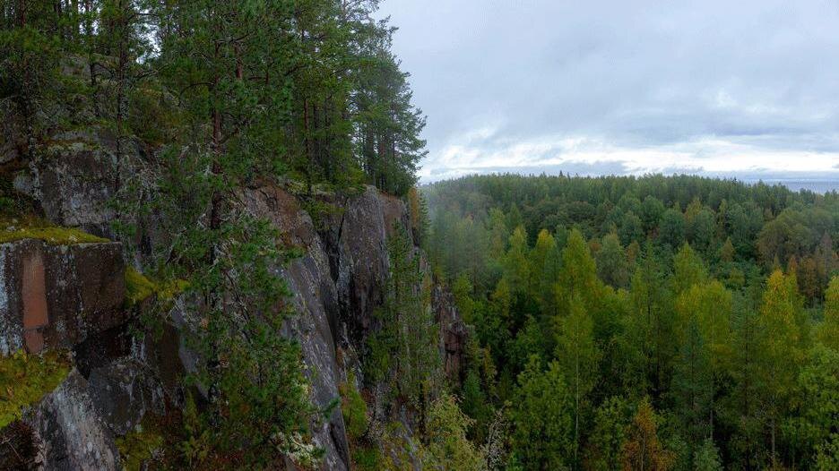    Фото: t.me/lenobladminka