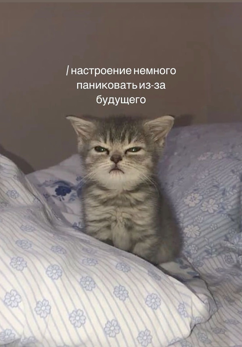 UGC для брендов, UGC контент для брендов, UGC контент что это, UGC контент что это такое простыми, UGC контент что это такое простыми словами, что значит UGC контент