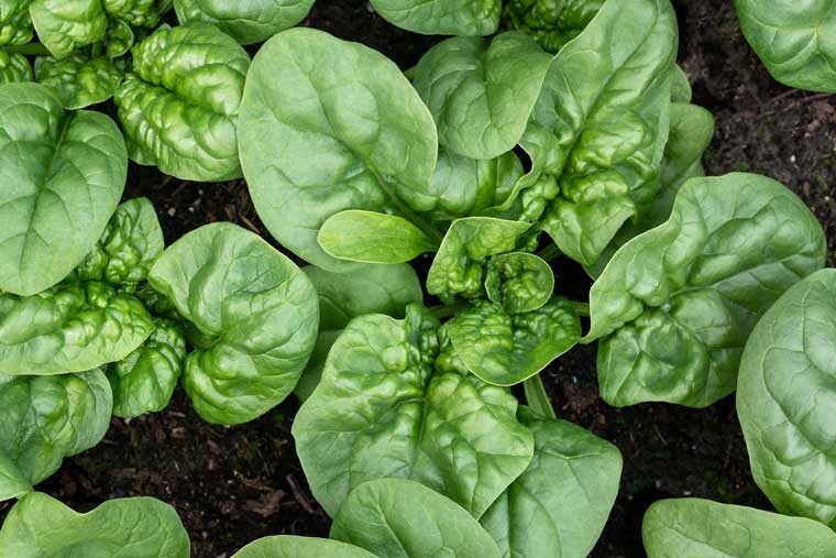 Картинка из просторов интернета