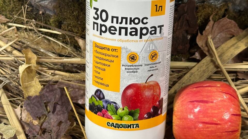Надёжная защита сада от вредителей круглый год 🌿