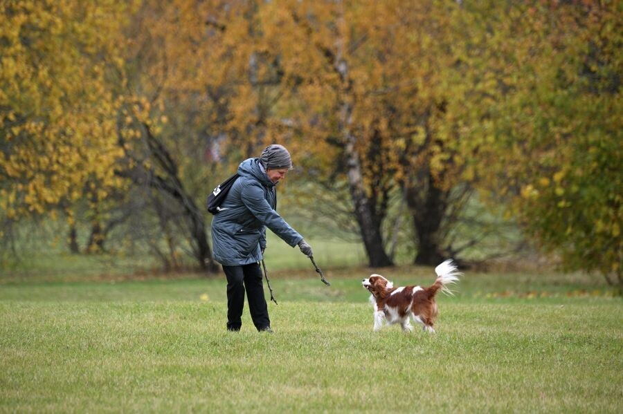     / Источник: © Кирилл Зыков/РИА Новости