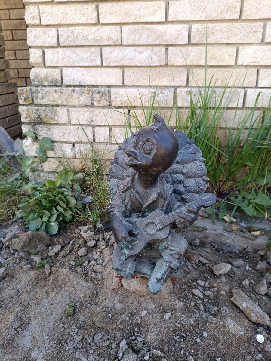 Павлин музыкант