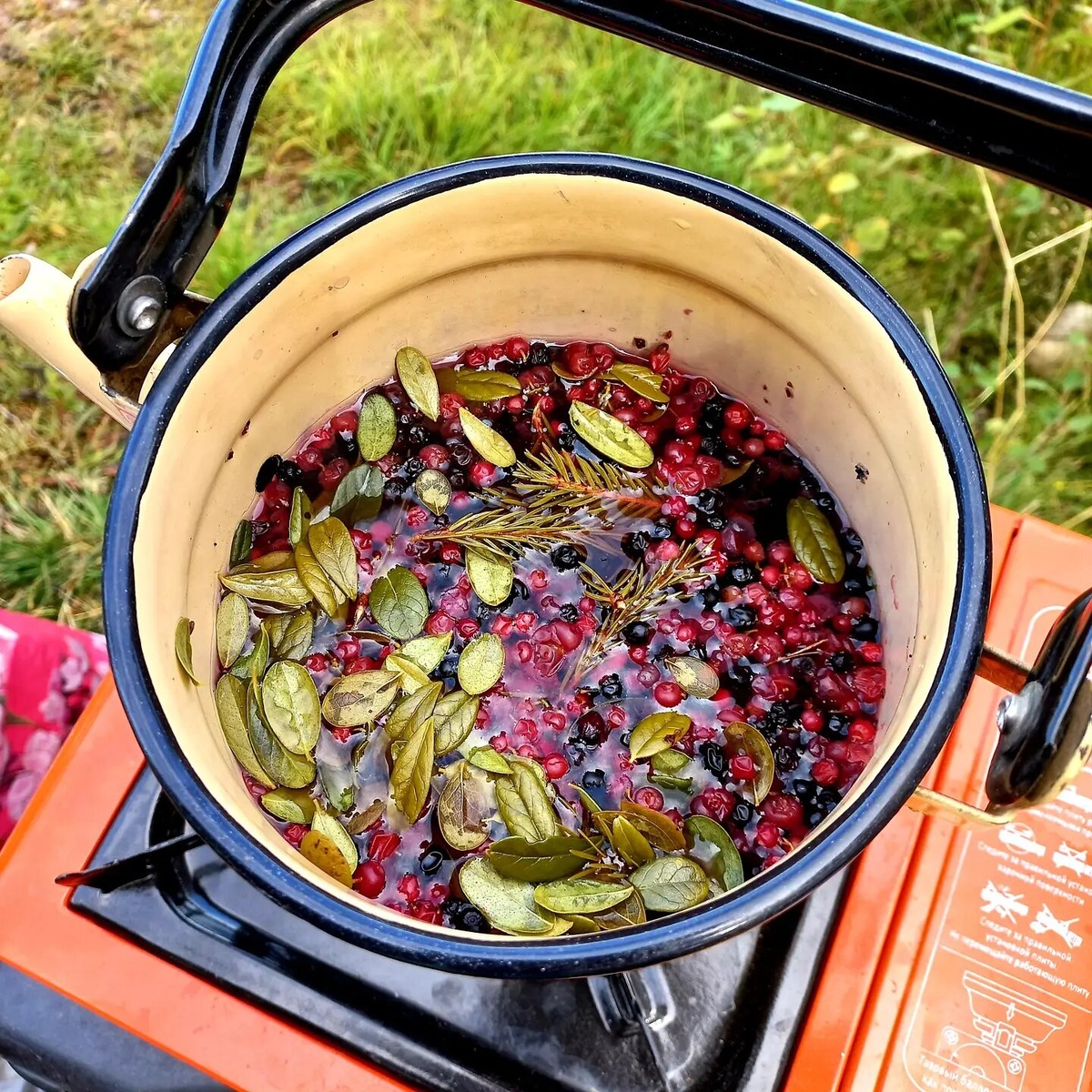 Мы берём на пикник с собой портативную газовую плиту и эмалированный чайник, в котором кипятим чай. Смешиваем туда листья и ягоды — бруснику, чернику, добавляем еловые ветки, и получается ароматный таёжный чай. Фото: Мария Гагулина