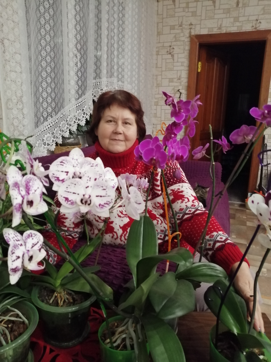 Фото автора