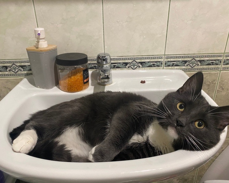     16 октября Северо-Запад Курска останется без холодной воды