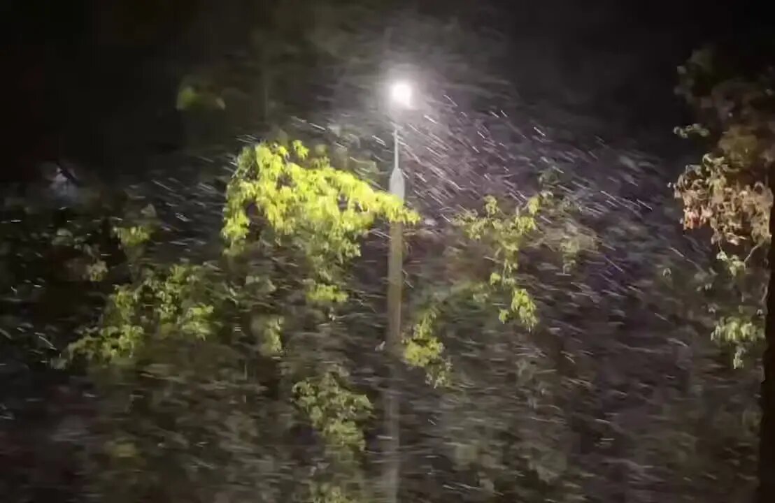    Снег в Смоленске. Фото: кадр видео из соцсетей