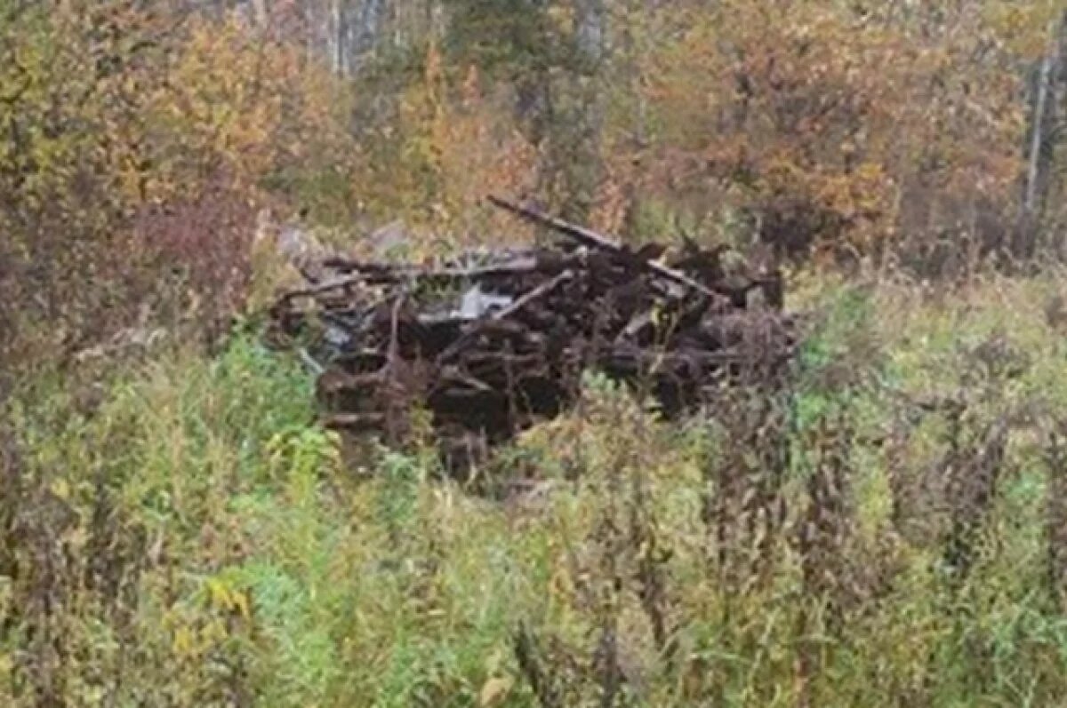    В Калужской области выявлена несанкционированная свалка мусора