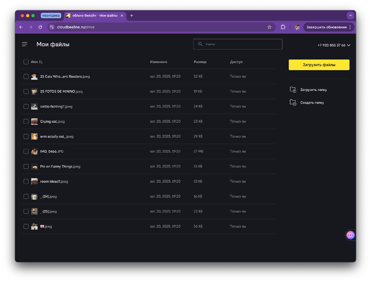 Вид через вкладку «Файлы»
