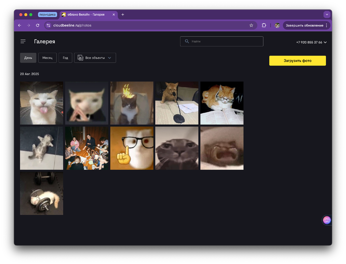 Вид через вкладку «Галерея»