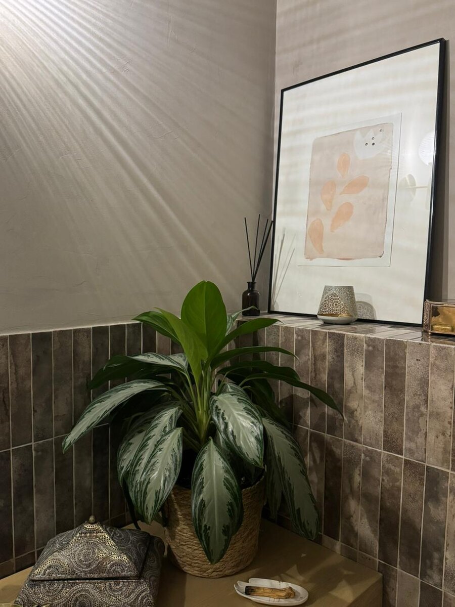 В уборной можно найти различную уходовую косметику, которая может потребоваться после спа