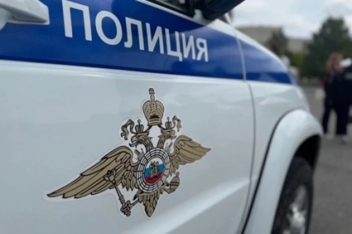    В Петербурге четырех человек задержали за похищение бизнесмена в стиле 90-х